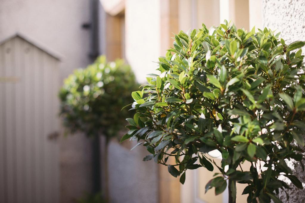 The Pavilion At Lamb'S House エディンバラ 部屋 写真